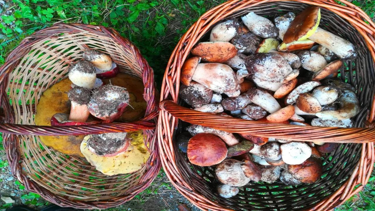 Can Nitu Camprodon Buitenkant foto